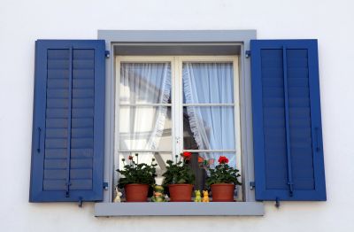 Exterior Shutter Repair