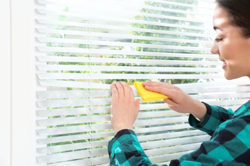 Roman Shade Cleaning in Worcester, MA