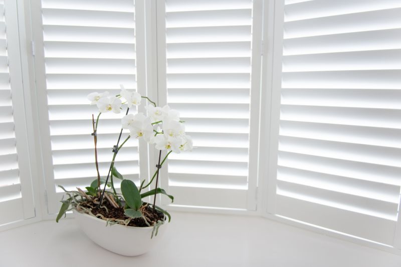 Window Shutters Replacement in Kansas City, KS